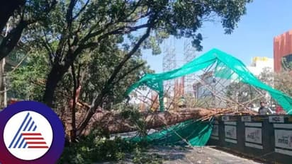 Namma Metro ಪಿಲ್ಲರ್‌ ದುರಂತಕ್ಕೆ ಕೊನೆಗೂ ಕಾರಣ ಪತ್ತೆ!