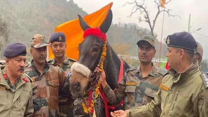Indian Army का गुमनाम 'योद्धा'..6500Kg भार उठाया, 750KM चला, 15 हजार फीट ऊंचाई पर डटा रहा, अब मिला सम्मान