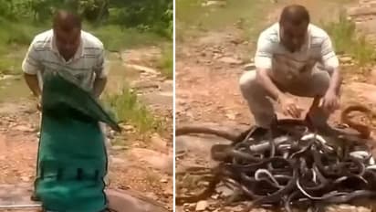 കാടിനടുത്ത് ചാക്കുകെട്ടുമായി ഒരാള്‍; ചാക്ക് തുറന്നതും അമ്പരപ്പിക്കുന്ന കാഴ്ച!