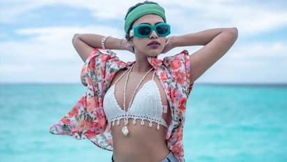 'ಹೆಬ್ಬುಲಿ' ನಟಿ ಅಮಲಾ ಪೌಲ್‌ ಜೊತೆ ಸೆಲ್ಫಿ ಕ್ಲಿಕ್ ಮಾಡಿಕೊಂಡ ಕೋತಿ; ಫೋಟೋ ವೈರಲ್ 