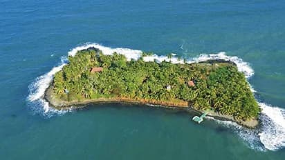 3.76 കോടി രൂപയ്‍ക്ക് പ്രകൃതിരമണീയമായ ദ്വീപ്, അതിൽ അത്യാധുനികസൗകര്യത്തിലൊരു വീട്