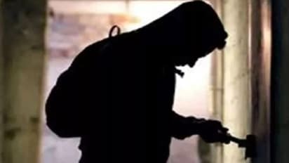 राजस्थान में आया चोरी का अजब गजब केस: चोर चुरा ले गए 9 लाख के इंसानी बाल, पढ़िए दिलचस्प मामला