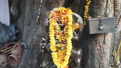 ಶನಿವಾರ ನಿಮ್ಮ ಕಣ್ಣಿಗೆ ಈ ವಿಷಯಗಳು ಬಿದ್ದರೆ ಶನಿಯ ಆಶೀರ್ವಾದ ಇದೆ ಎಂದರ್ಥ!