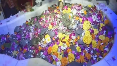 சிவனுக்கு நண்டுகளை காணிக்கையாகச் செலுத்தவது ஏன்?