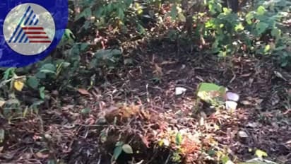Black magic: ಬೆಟ್ಟತ್ತೂರು ಗ್ರಾಮದ ದಟ್ಟಾರಣ್ಯದ ಮಧ್ಯೆ ವಾಮಾಚಾರ ಕುರುಹು ಪತ್ತೆ