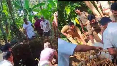 എട്ട് മീറ്റർ താഴ്ചയുള്ള വെള്ളമില്ലാത്ത കിണറ്റിൽ നിന്ന് കരച്ചിൽ, നാട്ടുകാർ ഫയർഫോഴ്സിനെ വിളിച്ചു, ആടിന് പുതുജീവൻ