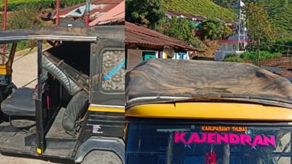 'തുമ്പിക്കൈ കൊണ്ട് ഓട്ടോ അടിച്ചു തകര്ത്തു'; വണ്ടികൾ തകർക്കുന്നത് പതിവാക്കിയ പടയപ്പയുടെ പുതിയ പരാക്രമം