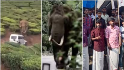 പടയപ്പയെ പ്രകോപിപ്പിച്ച കേസ്: മുൻകൂർ ജാമ്യാപേക്ഷയുമായി പ്രതി: കള്ളക്കേസെന്നും വാഹനം വിട്ടുനൽകണമെന്നും ഡിവൈഎഫ്ഐ