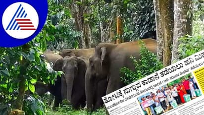 Honey mission: ತೋಟಕ್ಕೆ ನುಗ್ಗುವ ಕಾಡಾನೆ ತಡೆಯಲು ‘ಹನಿ ಮಿಷನ್‌’