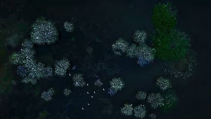 അതിമനോഹരം, ആളുകളെ വിസ്മയിപ്പിച്ച് പൊള്ളാച്ചിയിൽ നിന്നുള്ള കാഴ്ച, ഇതെന്താണ് എന്നും സോഷ്യൽ മീഡിയ