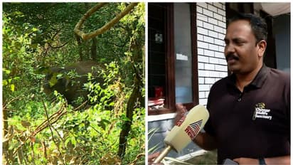 പി ടി7നെ പിടിയിലാക്കാൻ ദൌത്യസംഘം തയാർ,നാളെ മയക്കുവെടി വയ്ക്കാനാകുമെന്ന് പ്രതീക്ഷ