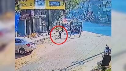 കോഴിക്കോട് സ്കൂൾ വിദ്യാർഥികൾക്ക് നേരെ തെരുവുനായ ആക്രമണം; കുട്ടിക്ക് പരിക്ക് 