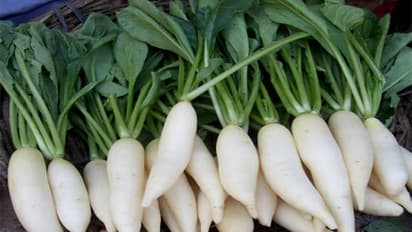 benefits of radish leaf