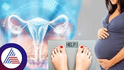 Womens Health: ತೂಕ ಹೆಚ್ಚಿದ್ದರೆ ಮಕ್ಕಳಾಗಲ್ಲ ಅನ್ನೋದು ನಿಜಾನ?