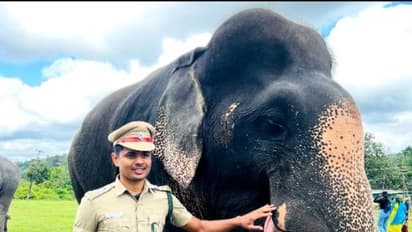 கோவை குற்றாலம் நுழைவு கட்டணத்தில் முறைகேடு - வன அதிகாரி பணியிடை நீக்கம்