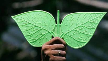 ஓபிஎஸ் எடுத்த அதிரடி முடிவு.. முடக்கப்படுகிறது இரட்டை இலை சின்னம்? அதிர்ச்சியில் இபிஎஸ்?