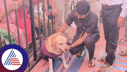 29ಕ್ಕೂ ಹೆಚ್ಚು ತಳಿಯ ಶ್ವಾನ ಪ್ರದರ್ಶನ; ಚಾರ್ಲಿ 777 ಶ್ವಾನದೊಂದಿಗೆ ಸಿ..ಟಿ ರವಿ ರೌಂಡ್ಸ್ 