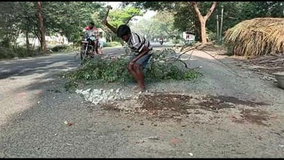 தாத்தாவை போல் யாரும் விழுந்து விடக் கூடாது; தனி நபராக சாலையை சீரமைத்த சிறுவன் 
