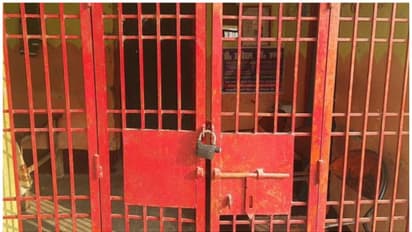 ഗർഭച്ഛിദ്രം നടത്തി ഭ്രൂണം നായയ്ക്ക് കഴിക്കാൻ നൽകി; ഡോക്ടർക്കെതിരെ ആരോപണവുമായി മരിച്ച യുവതിയുടെ കുടുംബം