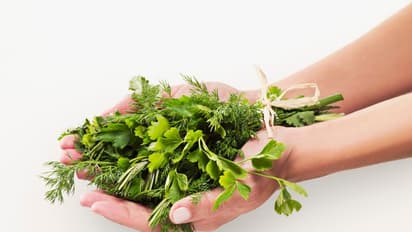 നമ്മുടെ മല്ലിയില അവര്ക്ക് പിശാചിന്റെ സസ്യം, മല്ലിയില വിരോധികള്ക്കായി ഒരു ദിവസവും!