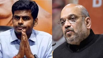 "தமிழ்நாட்டை ஊழலில் இருந்து விடுவிக்கவே இந்த பாதயாத்திரை" - என் மண் என் மக்கள் நிகழ்வில் பேசிய அமித் ஷா!