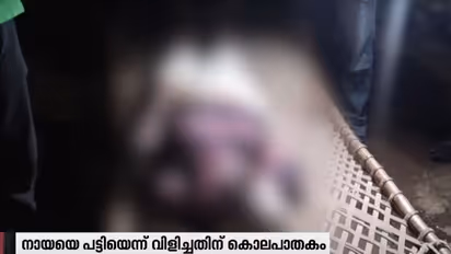 കടിക്കാൻ പാഞ്ഞെത്തിയ വളർത്തുനായകളെ പട്ടിയെന്ന് വിളിച്ചതിന് ഉടമയുമായി തർക്കം; വൃദ്ധനെ കുത്തിക്കൊന്നു