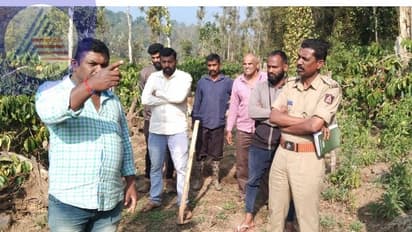 ಕಾಫಿ ತೋಟದಲ್ಲಿ ಅಕ್ರಮ ಗೋಹತ್ಯೆ: ಮಣ್ಣಿನಲ್ಲಿ ತ್ಯಾಜ್ಯ ಹೂತು ಹಾಕಿರುವ ಕಿಡಿಗೇಡಿಗಳು!