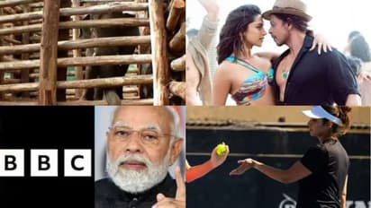 പിടി സെവന് പുതിയ പേര്, ആദിവാസി മൂപ്പനും മകനും ചികിത്സയില്ല!, പത്താൻ പ്രദർശനത്തിന് സുരക്ഷ- പത്ത് വാർത്ത