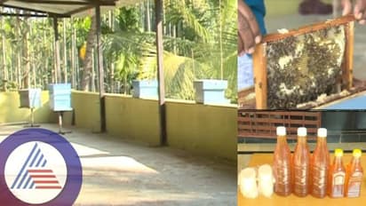 Chitradurga: ಜೇನು ತುಪ್ಪದಿಂದ ಸಾಬೂನು ಫೇಶ್‌ವಾಶ್: ರೈತನ ಉತ್ಪನ್ನಗಳಿಗೆ ಭಾರಿ ಡಿಮ್ಯಾಂಡ್