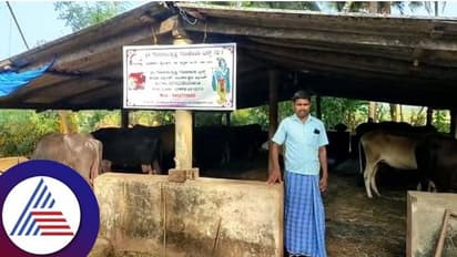 ಉತ್ತರಕನ್ನಡ: ಅನುದಾನದ ಕೊರತೆಯಿಂದ ಸಂಕಷ್ಟದಲ್ಲಿ ಗೋಶಾಲೆ