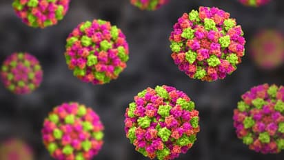 എന്താണ് നോറോ വൈറസ്; അറിയാതെ പോകരുത് ഈ ലക്ഷണങ്ങള്‍...