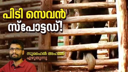 ധോണിയെ വിറപ്പിച്ച പിടി സെവൻ, കീഴടങ്ങും വരെ കൺമുന്നിൽ കണ്ട കഥയിങ്ങനെ...