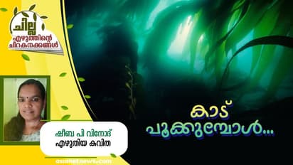  Malayalam Poem: കാട് പൂക്കുമ്പോള്‍, ഷീബ പി വിനോദ്  എഴുതിയ കവിത