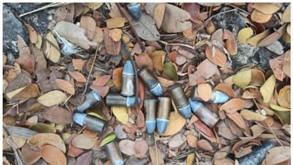 മരപ്പൊത്തിൽ നിന്ന് കണ്ടെത്തിയത് 12 വെടിയുണ്ടകൾ; കേസെടുത്ത് പൊലീസ്