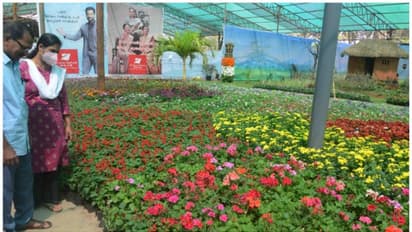 വർണ്ണവിസ്മയമായി കോഴിക്കോട് കടലോരത്തെ പൂക്കടൽ