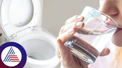 டாய்லெட் தண்ணீரில் காபி போட்டு கொடுக்கும் பெல்ஜியம் உணவகம்... தண்ணீரை வீணாக்க கூடாது என வினோதமான நடவடிக்கை! 