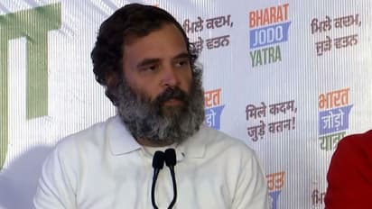 Pulwama row: Rahul Gandhi distances himself from Digvijaya Singh's 'surgical strike' remarks; check details
