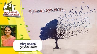 Malayalam Poem: ഹൃദയലോല പ്രദേശം, ബിന്ദു തേജസ് എഴുതിയ കവിത