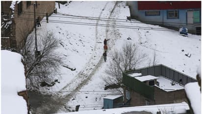 അഫ്ഗാനിൽ ജീവനെടുക്കുന്ന അതിശൈത്യം, 124 മരണം സ്ഥിരീകരിച്ച് താലിബാൻ; യഥാർത്ഥ കണക്ക് കൂടുമെന്ന് സന്നദ്ധ സംഘടനകൾ