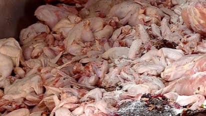 Kerala: Stale food items seized from three hotels in Thrissur