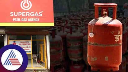 Business Ideas: ಮನೆ ಮನೆಗೂ ಬೇಕೇಬೇಕಾಗಿರೋ ಗ್ಯಾಸ್ ಸಿಲಿಂಡರ್ ಬ್ಯಸಿನೆಸ್ ಮಾಡಿ ಹಣ ಗಳಿಸಿ