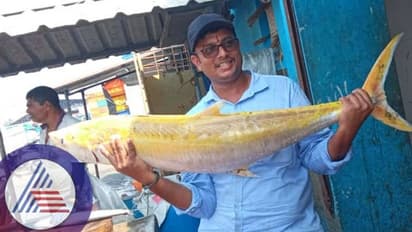 Udupi: ಮೀನುಗಾರರ ಬಲೆಗೆ ಬಿದ್ದ ಬಂಗಾರದ ಮೀನು: ಅಟ್ಲಾಂಟಿಕ್ ಮೀನು ಇಲ್ಲಿಗೆ ಹೇಗೆ ಬಂತು?