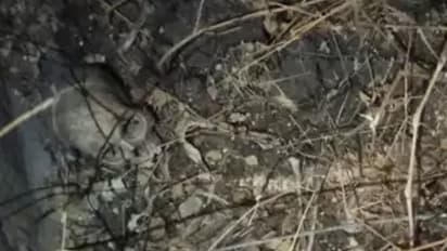 ಇಂದೋರ್ ಏರ್‌ಪೋರ್ಟ್‌ನ ಚರಂಡಿಯಲ್ಲಿ ಮಾನವ ಅಸ್ಥಿಪಂಜರ ಪತ್ತೆ