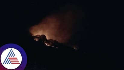 ತುಮಕೂರು: ತಿಮ್ಲಾಪುರ ಸಂರಕ್ಷಿತ ಅರಣ್ಯ ಪ್ರದೇಶಕ್ಕೆ ಬೆಂಕಿ ಇಟ್ಟ ದುಷ್ಕರ್ಮಿಗಳು