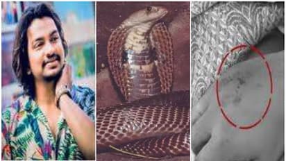 പാമ്പാട്ടിയെ വിശ്വസിച്ചു, കൗതുകത്തിന് പാമ്പിനെ കഴുത്തിലിട്ട് സെല്ഫി; കടിയേറ്റ യുവാവിന് ദാരുണാന്ത്യം