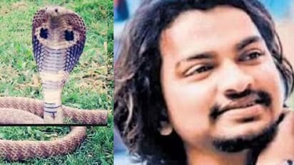 ಯುವಕನ ಜೀವಕ್ಕೆ ಎರವಾಯ್ತು ಹಾವಿನೊಂದಿಗಿನ ಸೆಲ್ಫಿ