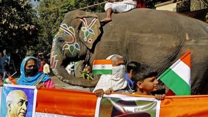 125 அடி ராஜகோபுரத்தில் ஏற்றப்பட்ட கொடி; தேசிய கொடிக்கு மரியாதை செலுத்திய யானை