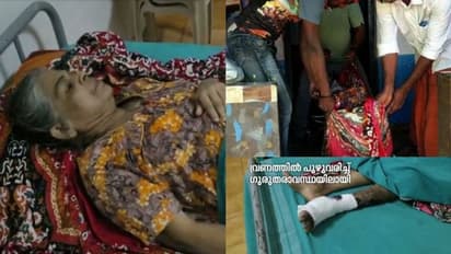 കാലിൽ പുഴുവരിച്ച് ഗുരുതരാവസ്ഥയിൽ അമ്മ; തിരിഞ്ഞു നോക്കാതെ മൂന്ന് മക്കൾ