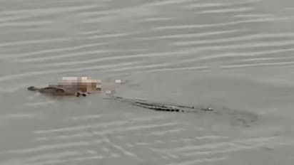 കളിക്കുന്നതിനിടയിൽ കാണാതായി, നാലു വയസ്സുകാരന്റെ ജഡം തിരികെ എത്തിച്ച് മുതല