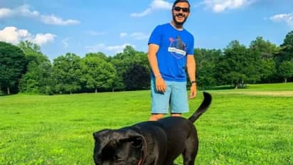 ജോലി നായയെ നടക്കാൻ കൊണ്ടുപോകൽ, ഒരു വർഷം കിട്ടുന്നത് ഒരു കോടി രൂപ! വ്യത്യസ്ത ജോലിയുമായി യുവാവ്